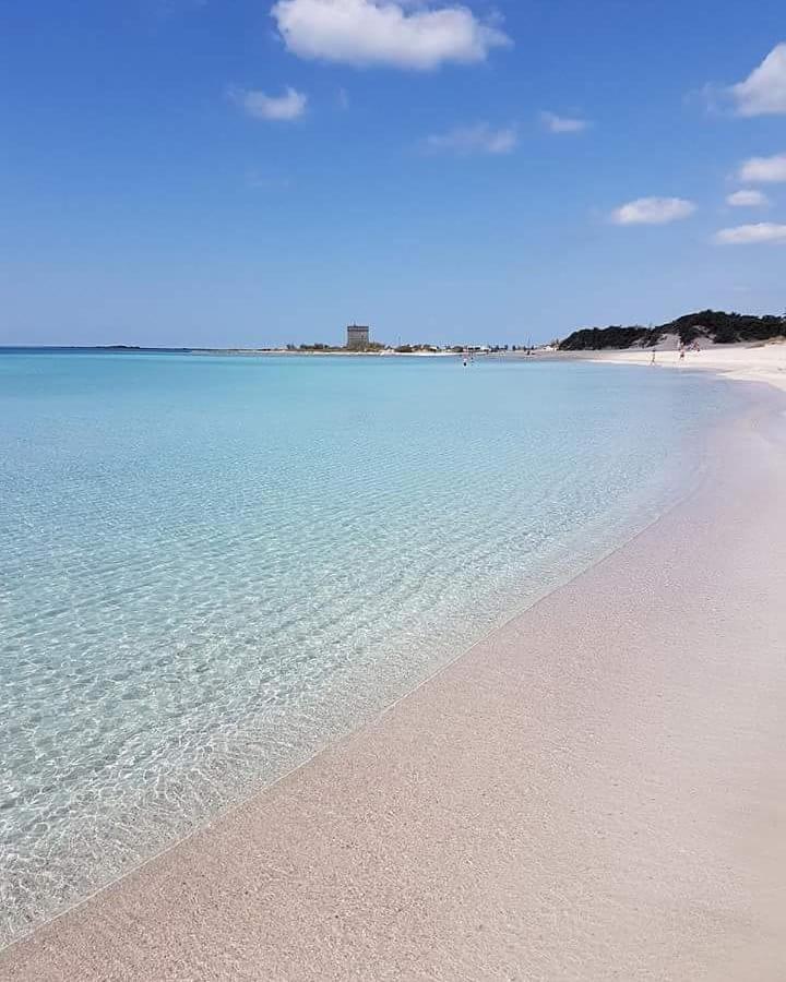 Vivi Salento - A